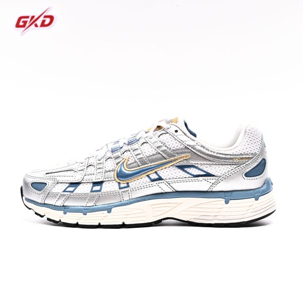 NIKE P-6000 HJ7246 100