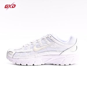 NIKE P-6000 BV1021 102