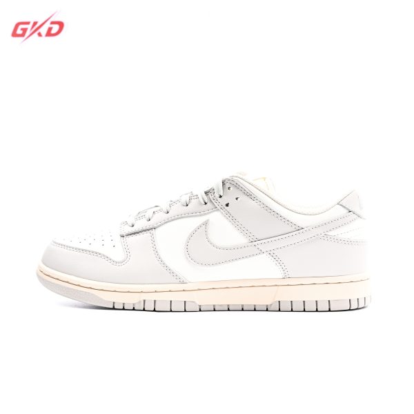 Nike Dunk Low Rdtro DD1503 107