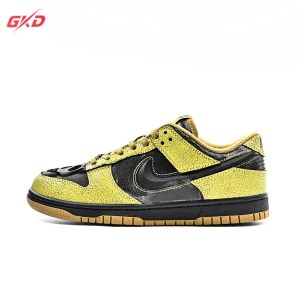 Nike Dunk SB Low Rdtro HV6103 300
